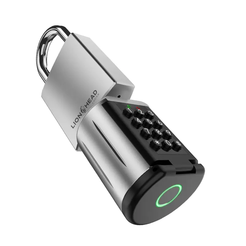 LHL-STRONGA-PADLOCK1-2.webp