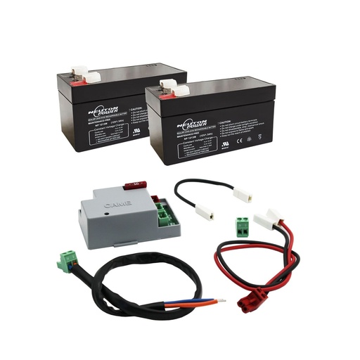 [002RLB+BAT] Uninterrupted Battery Backup System for BXV ZLX24 and ZL65 Systems